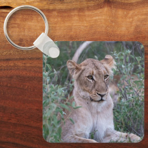 Porte-clés Lionne, Faune Féminin Puissant