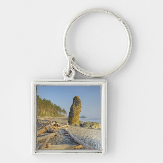 Porte-clés Littoral et stacks, Ruby Beach, Olympique (Devant)