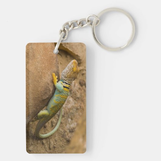 Porte-clés Lizard à collier (Dos)