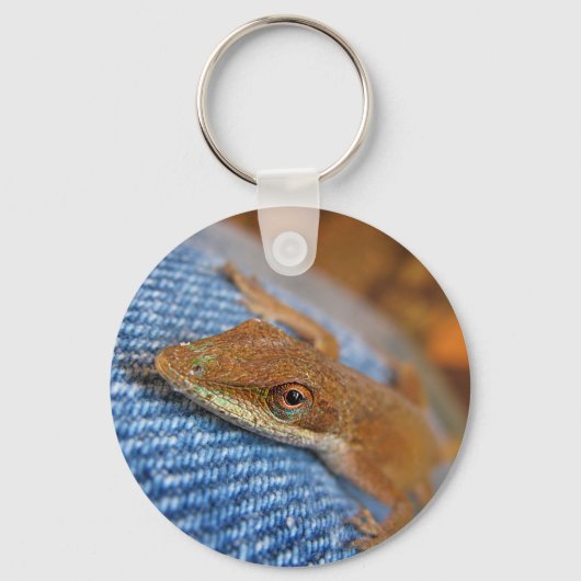 Porte-clés Lizard d'Anole Verte (Recto)