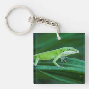 Porte-clés Lizard d'Anole Verte