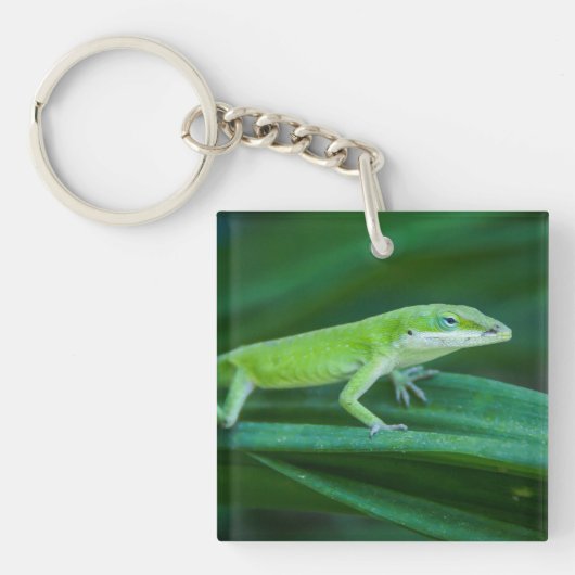 Porte-clés Lizard d'Anole Verte (Devant)