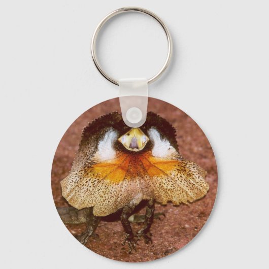 Porte-clés Lizard frisé - Chlamydosaurus kingii (Recto)
