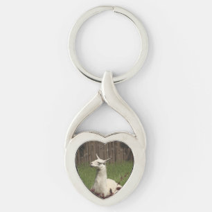 Porte-clés Llama blanche