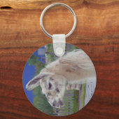 Porte-clés Llama Llama (Recto)