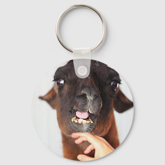 Porte-clés Llama Love (Recto)