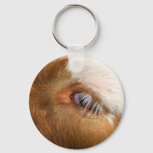 Porte-clés L'oeil de la vache des Highlands