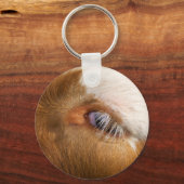 Porte-clés L'oeil de la vache des Highlands (Recto)