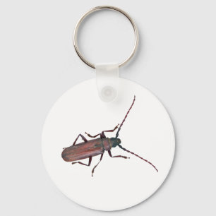 Porte-clés Longhorn Beetle Coordonner les éléments