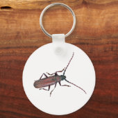 Porte-clés Longhorn Beetle Coordonner les éléments (Recto)
