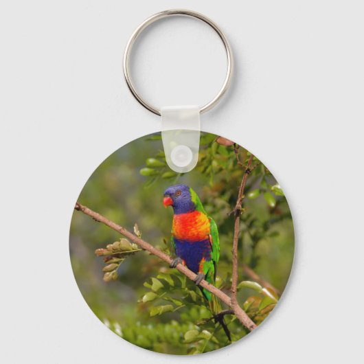 Porte-clés Lorikee arc-en-ciel (Recto)