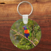 Porte-clés Lorikee arc-en-ciel (Recto)