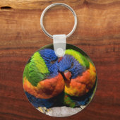 Porte-clés Lorikeets en amour (Recto)
