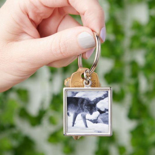 Porte-clés Loup (main)