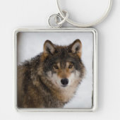Porte-clés Loup (Devant)