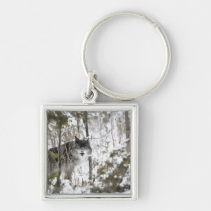 Porte-clés Loup dans la forêt en hiver