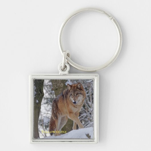 Porte-clés Loup de Yellowstone (Devant)