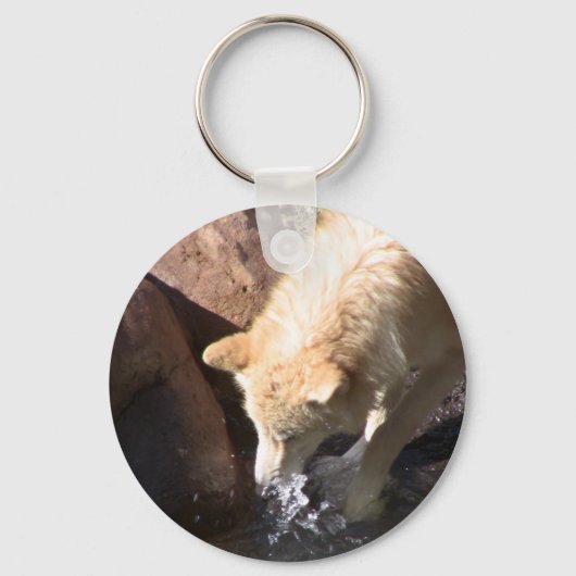 Porte-clés Loup gris (Recto)