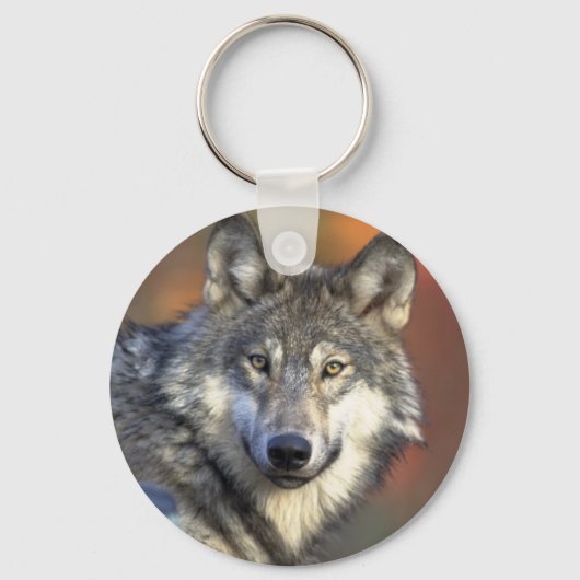 Porte-clés Loup Gris (Recto)