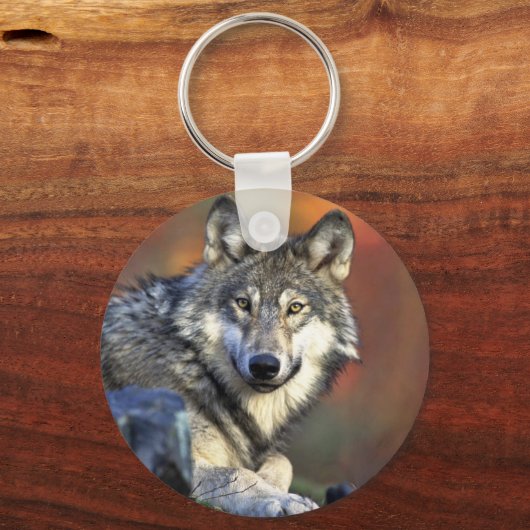 Porte-clés Loup gris (Recto)