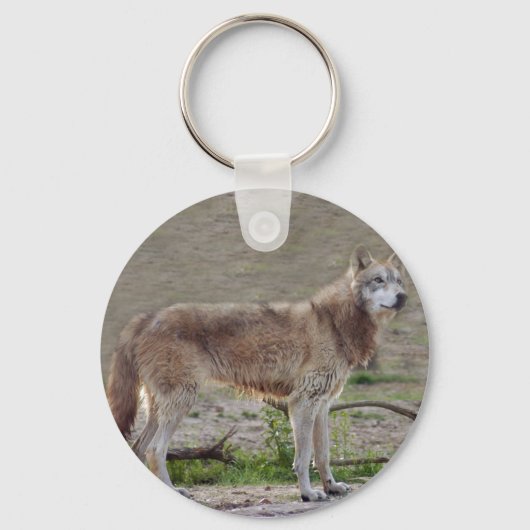 Porte-clés loup-gris-12 (Recto)