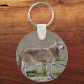 Porte-clés loup-gris-12 (Recto)