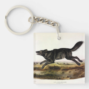 Porte-clés Loup noir ou Loup noir-américain (Canis Lupus)