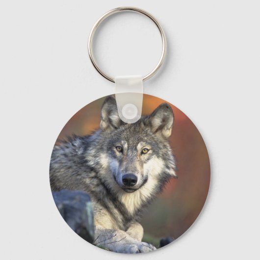 Porte-clés Loups (Recto)