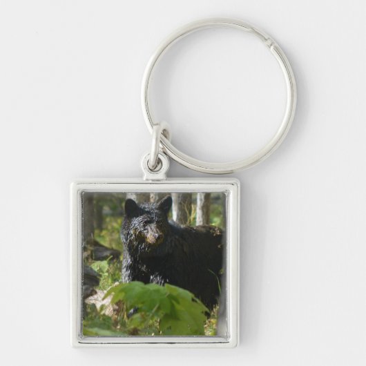 Porte-clés L'ours noir se cache en forêt Photo de la faune (Devant)