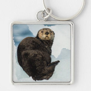 Porte-clés Loutre de mer