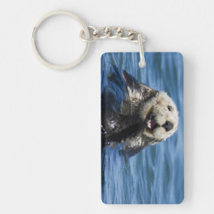 Porte-clés Loutre de mer de Californie Enhydra lutris) se toi
