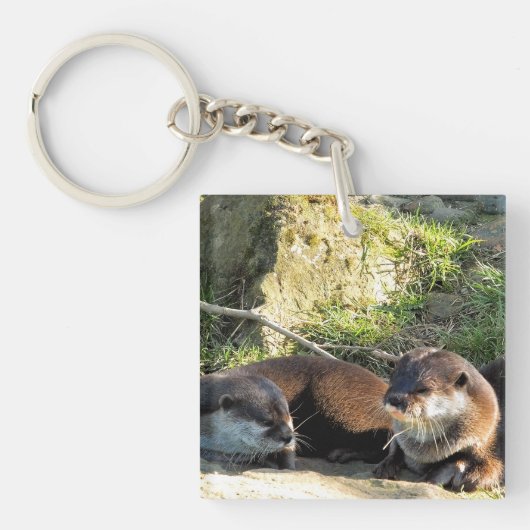 PORTE-CLÉS LOUTRES (Devant)