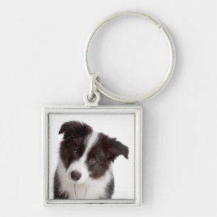 Porte-clés Love Border Collie Puppy Dog Porte - clé