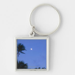 Porte-clés Lune brillamment allumée, silhouette des arbres d