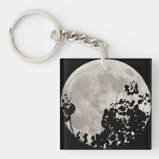 Porte-clés Lune derrière feuilles sombres (Devant)