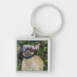 Porte-clés Lunettes de port de chiwawa