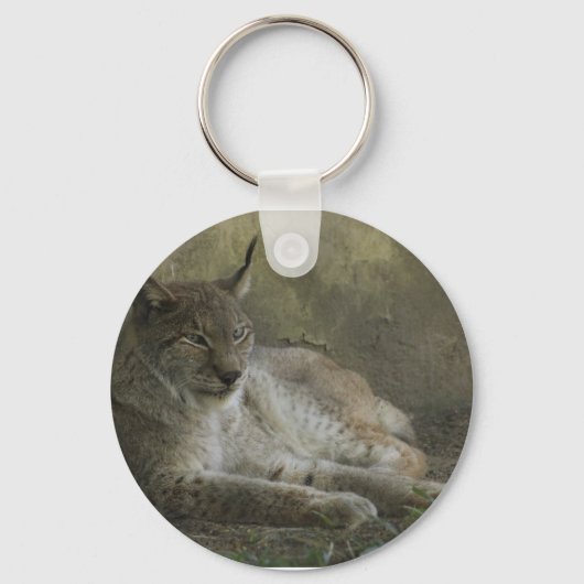 Porte-clés Lynx animal sauvage d'Amérique du Nord (Recto)