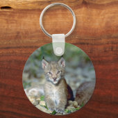 Porte-clés lynx eurasien, jeune chet (Recto)