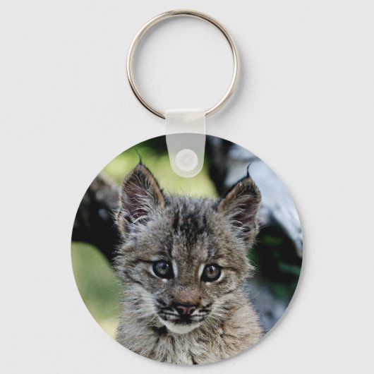 Porte-clés Lynx Kitten (Recto)