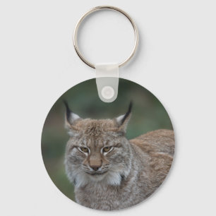 Porte-clés Lynx Vous Regardant Classique