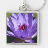 Porte-clés Lys d'eau violet (Devant)