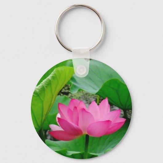 Porte-clés Lys rose fleurissant au printemps (Recto)