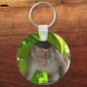Porte-clés Macaque Singe dans la Porte - clé de la forêt trop (Recto)