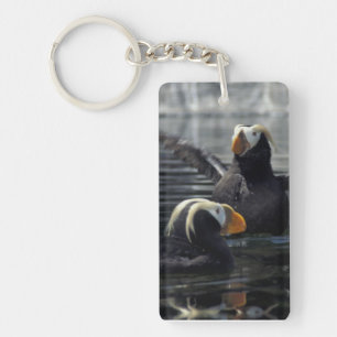 Porte-clés Macareux huppés d'Alaska