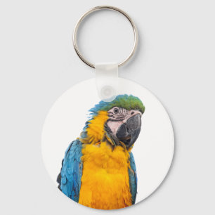 Porte-clés Macaw bleu et or