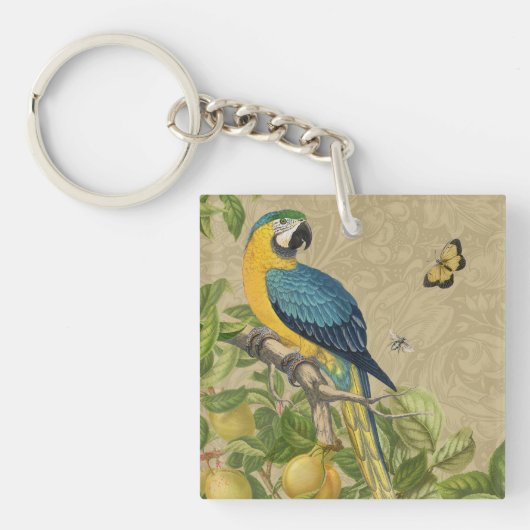 Porte-clés Macaw Blue Jaune Tropical Jungle Antique (Devant)