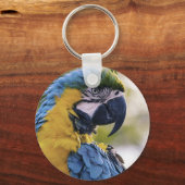 Porte-clés Macaw Parrot Profile Portrait Photograph (Recto)