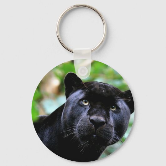 Porte-clés Macro Black Panther (Recto)