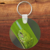 Porte-clés Macro grenouille verte (Recto)