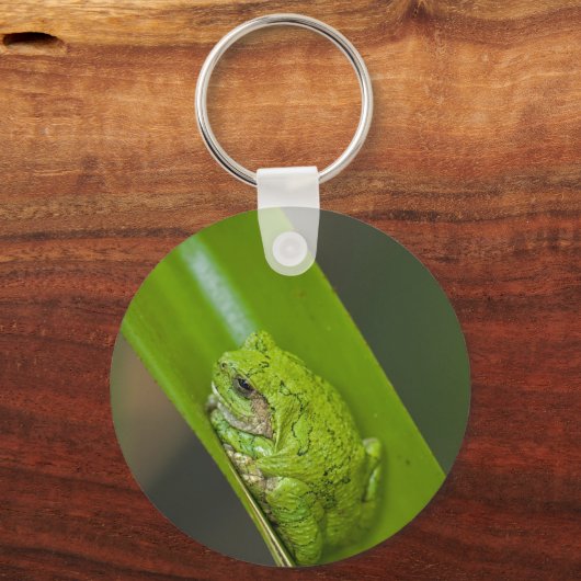 Porte-clés Macro grenouille verte (Recto)